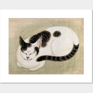 A sleeping cat. Gouache, 1800s. Posters and Art